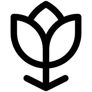 Flower Tulip Icon from Phosphor Regular Set