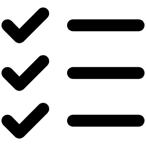 List Checks Icon from Phosphor Regular Set