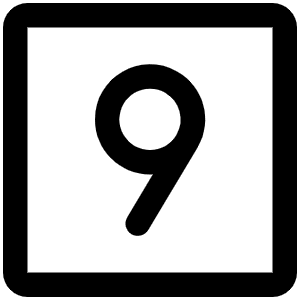 Number Square Nine Icon from Phosphor Regular Set