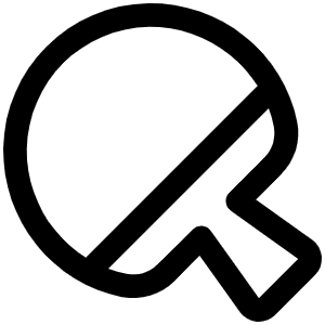 Ping Pong Icon from Phosphor Regular Set