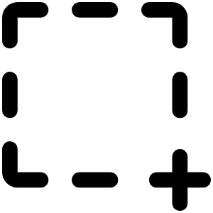 Selection Plus Icon from Phosphor Regular Set