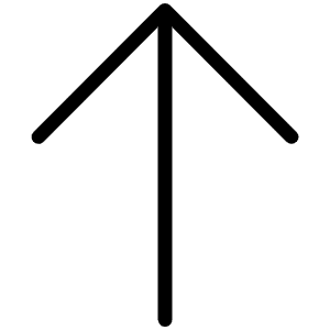 Arrow Up Thin Icon from Phosphor Thin Set