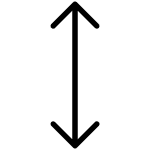 Arrows Vertical Thin Icon from Phosphor Thin Set