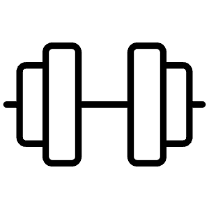 Barbell Thin Icon from Phosphor Thin Set