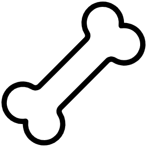 Bone Thin Icon from Phosphor Thin Set
