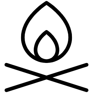 Campfire Thin Icon from Phosphor Thin Set