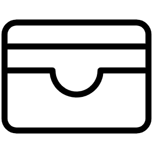 Cardholder Thin Icon from Phosphor Thin Set