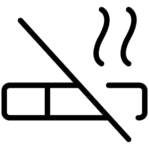 Cigarette Slash Thin Icon from Phosphor Thin Set