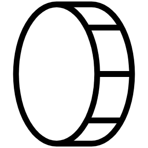 Coin Vertical Thin Icon from Phosphor Thin Set