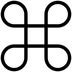 Command Thin Icon from Phosphor Thin Set
