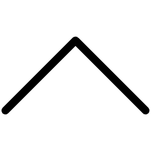 Control Thin Icon from Phosphor Thin Set