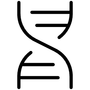 Dna Thin Icon from Phosphor Thin Set