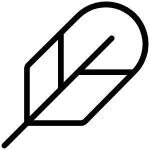 Feather Thin Icon from Phosphor Thin Set