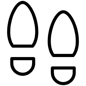 Footprints Thin Icon from Phosphor Thin Set