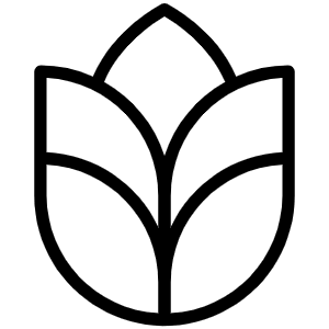 Grains Thin Icon from Phosphor Thin Set