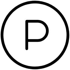 Letter Circle P Thin Icon from Phosphor Thin Set