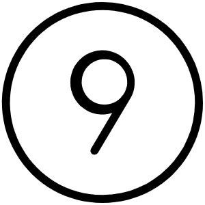 Number Circle Nine Thin Icon from Phosphor Thin Set