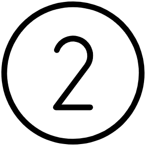 Number Circle Two Thin Icon from Phosphor Thin Set