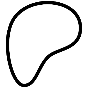 Patreon Logo Thin Icon from Phosphor Thin Set