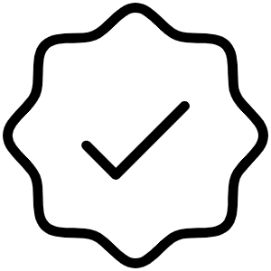 Seal Check Thin Icon from Phosphor Thin Set