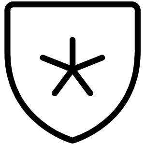 Shield Star Thin Icon from Phosphor Thin Set