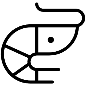 Shrimp Thin Icon from Phosphor Thin Set