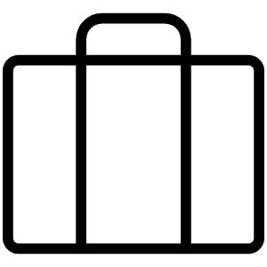 Suitcase Thin Icon from Phosphor Thin Set