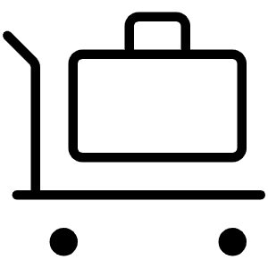 Trolley Suitcase Thin Icon from Phosphor Thin Set