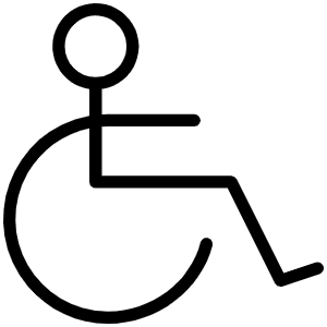 Wheelchair Thin Icon from Phosphor Thin Set