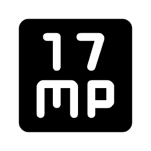 17mp Fill Icon from Rounded Fill - Material Symbols Set