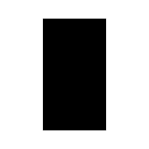 Crop 9 16 Fill Icon from Sharp Fill - Material Symbols Set