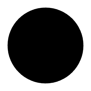 Lens Fill Icon from Sharp Fill - Material Symbols Set