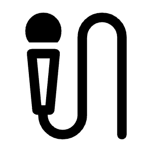 Mic External On Icon from Rounded Line - Material Symbols Set