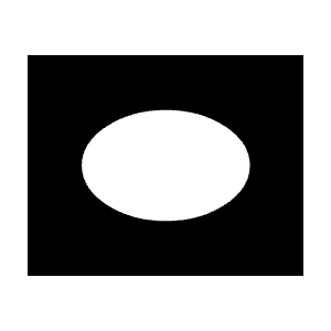 Vignette Fill Icon from Sharp Fill - Material Symbols Set