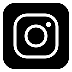 Instagram Logo 2 Icon from Logos Block - Free Set