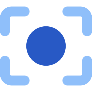 Focus Center Icon from Core Flat Set