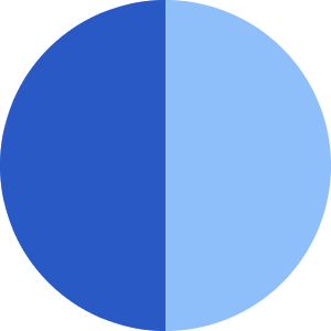 Left Half Shadow Circle Icon from Core Flat Set