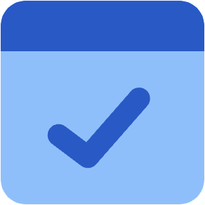 Browser Check Icon from Core Flat - Free Set