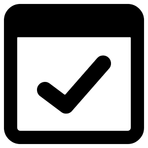 Browser Check Icon from Core Remix - Free Set