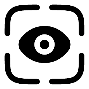 Eye Scan Icon from Solar Bold Set