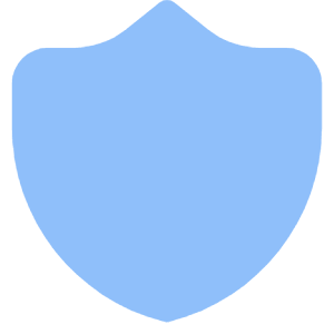 Shield 2 Icon from Core Flat Set