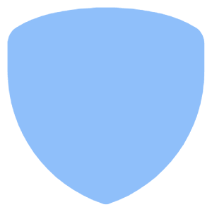 Shield 3 Icon from Core Flat Set