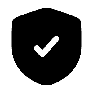 Shield Check Icon from Solar Bold Set