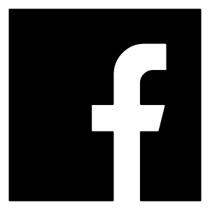 Facebook Logo 1 Icon from Logos Solid - Free Set