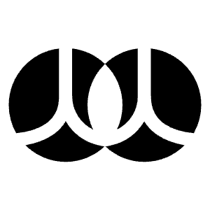 Renren Logo 1 Icon from Logos Solid - Free Set