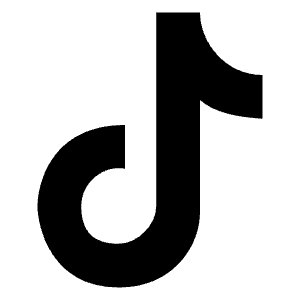 Tiktok Logo Icon from Logos Solid - Free Set