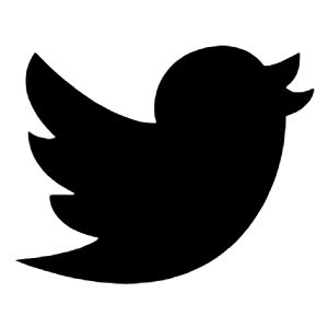 Twitter Logo 1 Icon from Logos Solid - Free Set