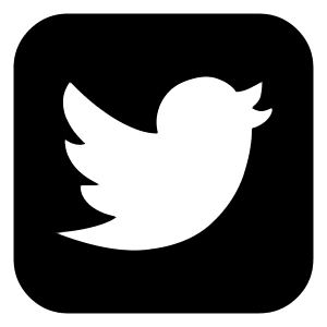 Twitter Logo 1 Icon from Logos Block - Free Set
