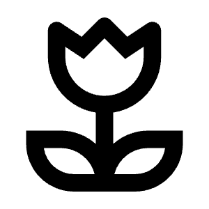 Deceased Icon from Outlined Line - Streamline Material Free Set