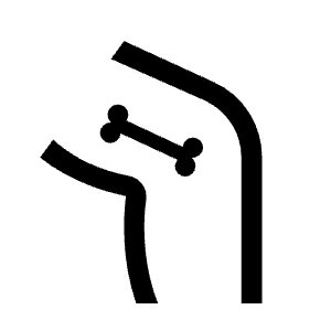 Femur Alt Icon from Sharp Line - Material Symbols Set